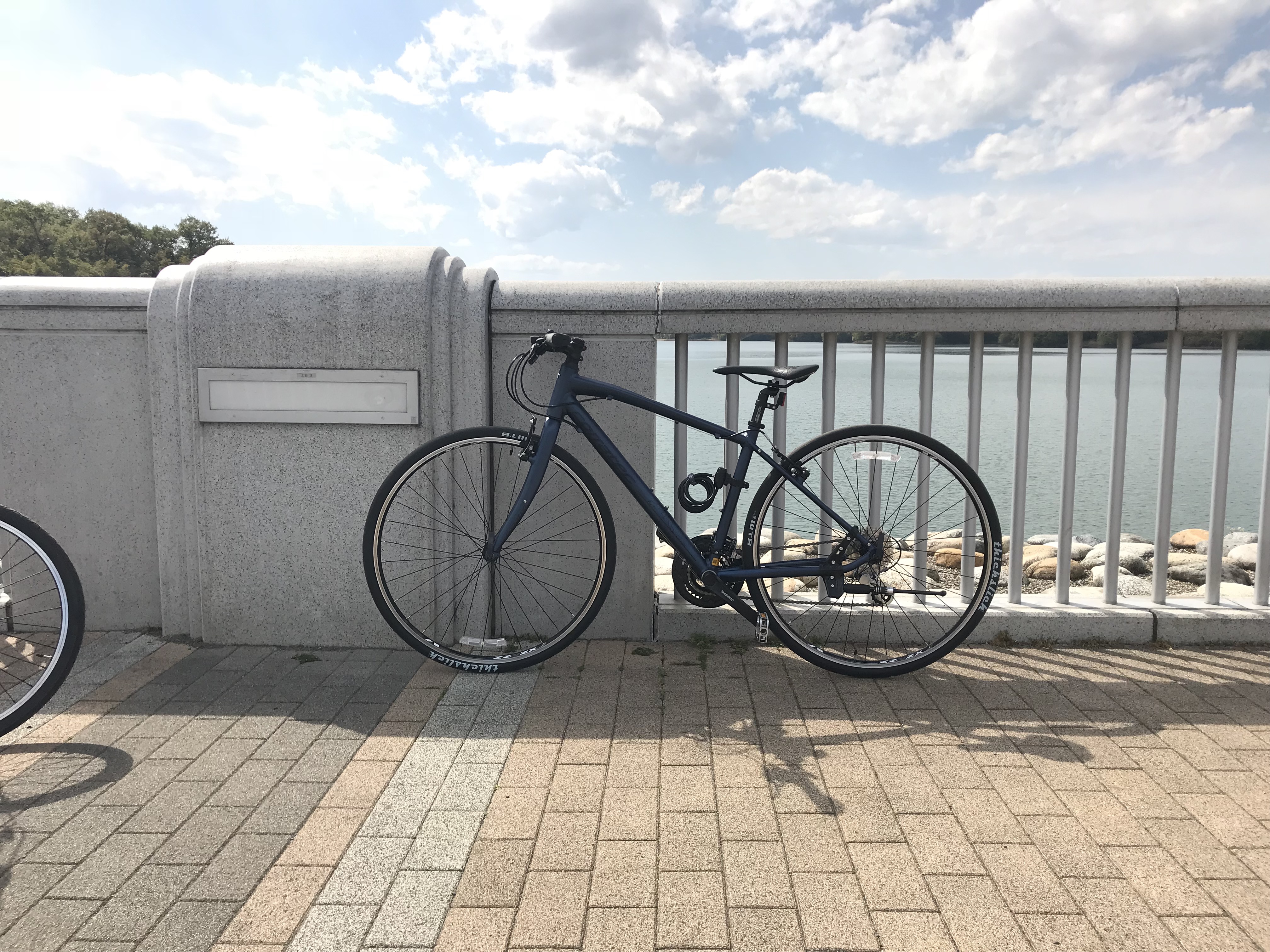 多摩湖自転車道路 〜 多摩湖までクロスバイクで。