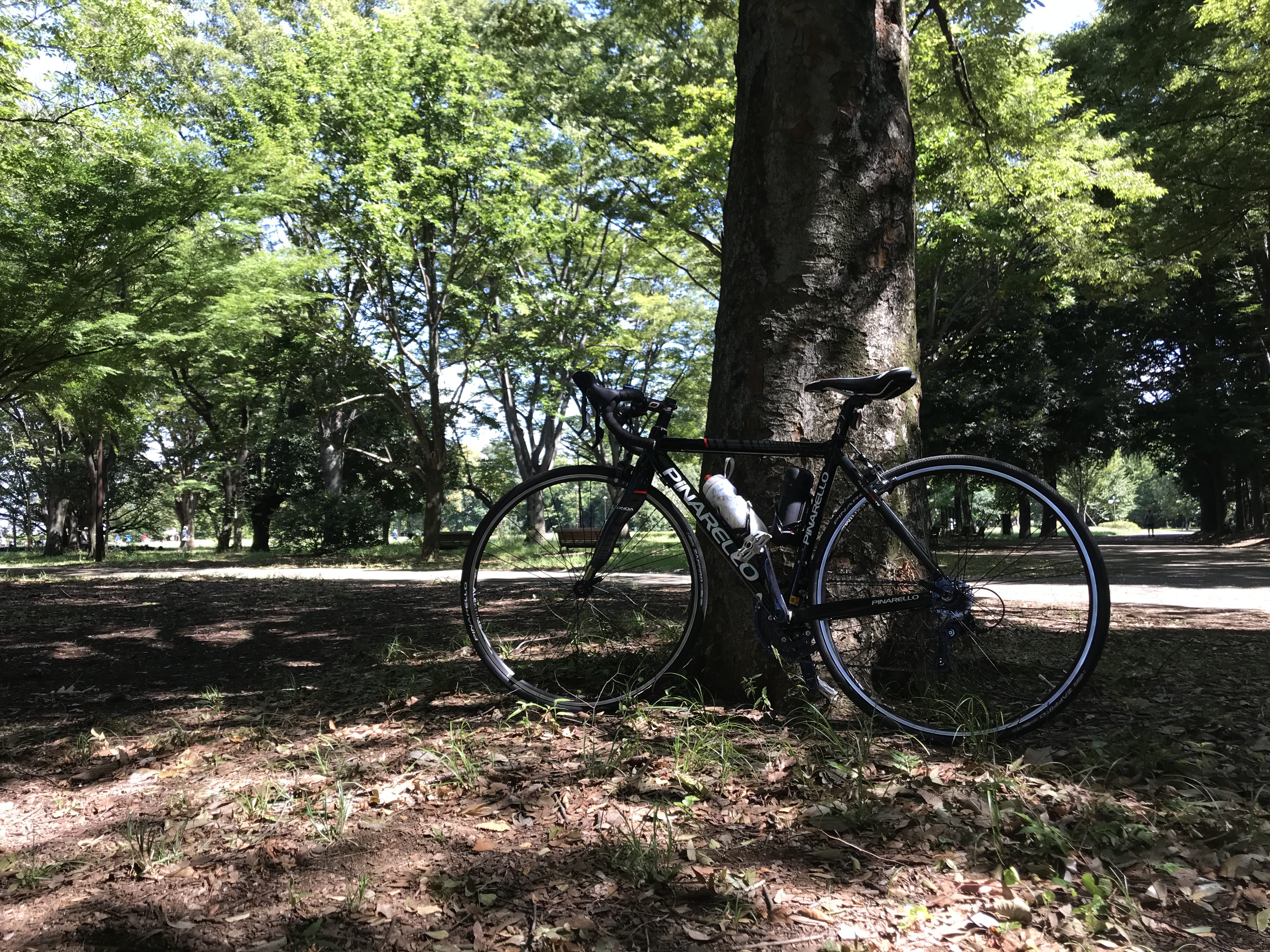 暑すぎて引き返したけど小金井公園の木陰は良かった。