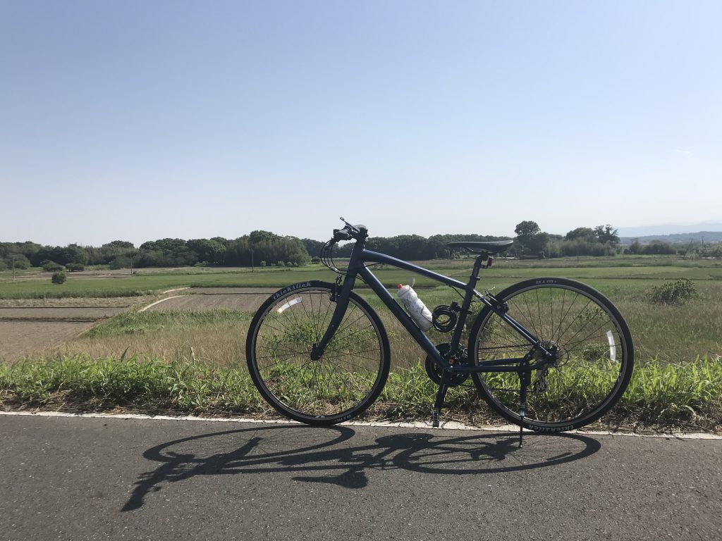 自転車 100km カロリー