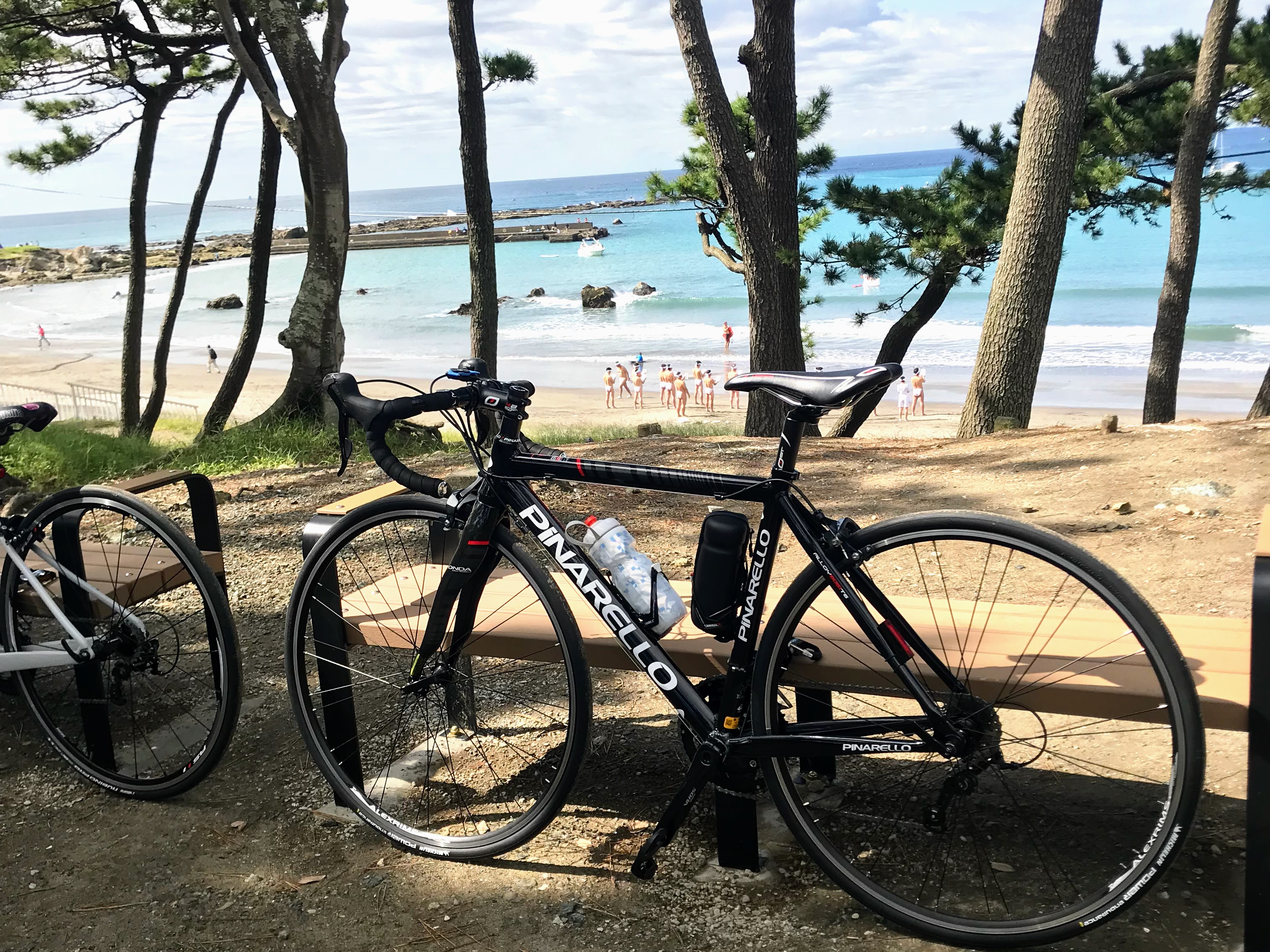 三浦半島をロードバイクで半周くらいした。